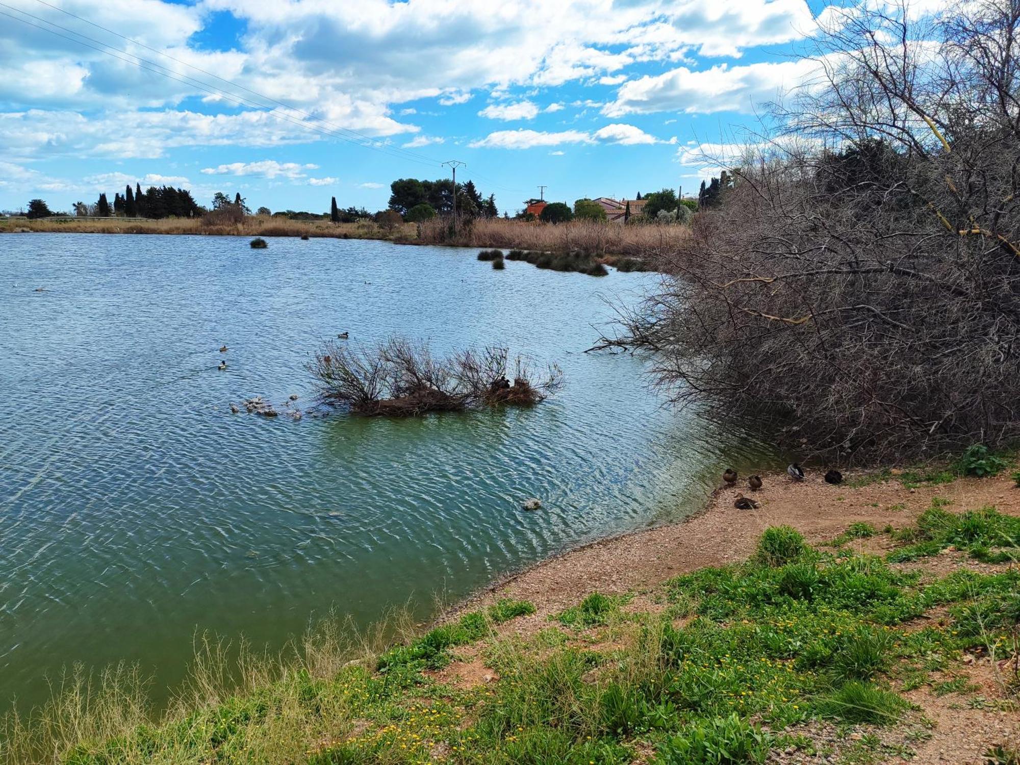 Mobilhome Au Camping Les Salins De La Gardiole Ex Camping Europe Vic-la-Gardiole Kültér fotó