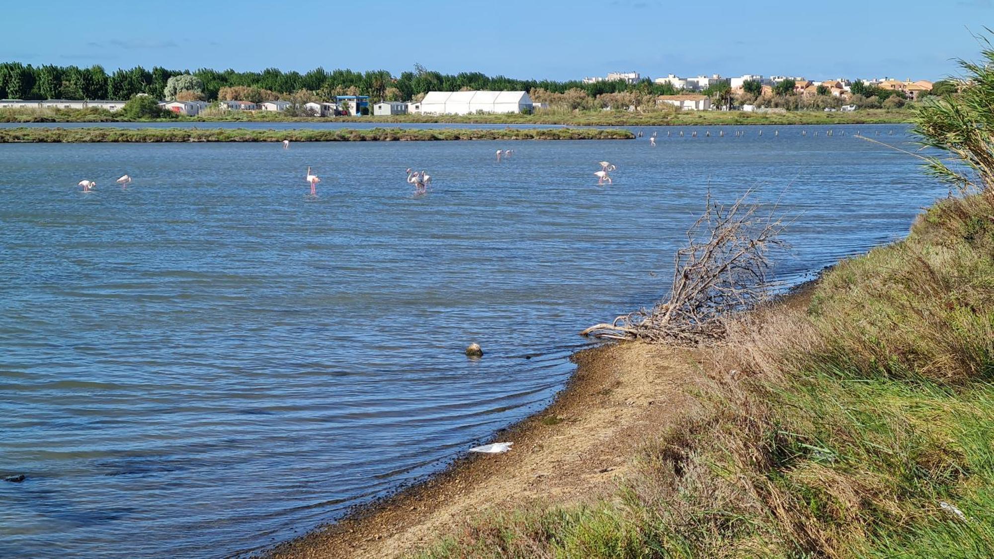 Mobilhome Au Camping Les Salins De La Gardiole Ex Camping Europe Vic-la-Gardiole Kültér fotó